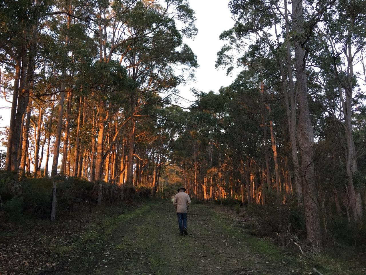 Margaret River Farmhouse Rosa Glen Luaran gambar