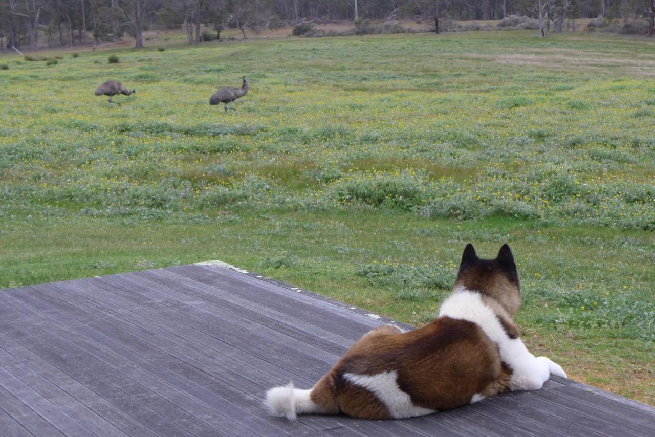 Margaret River Farmhouse Rosa Glen Luaran gambar